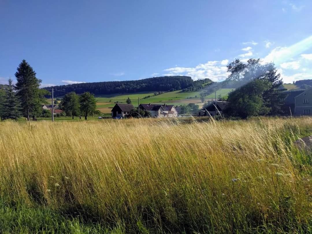 Agroturystyka "U Kasi" Scinawka Gorna Eksteriør billede