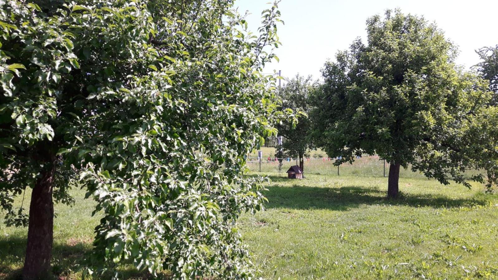 Agroturystyka "U Kasi" Scinawka Gorna Eksteriør billede